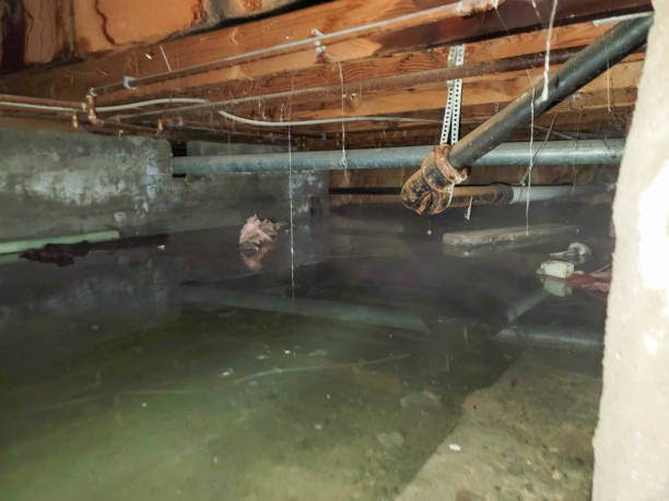 Best 24-hour water damage restoration  in North Fair Oaks, CA