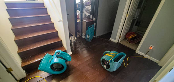 North Fair Oaks, CA Water damage restoration Pros