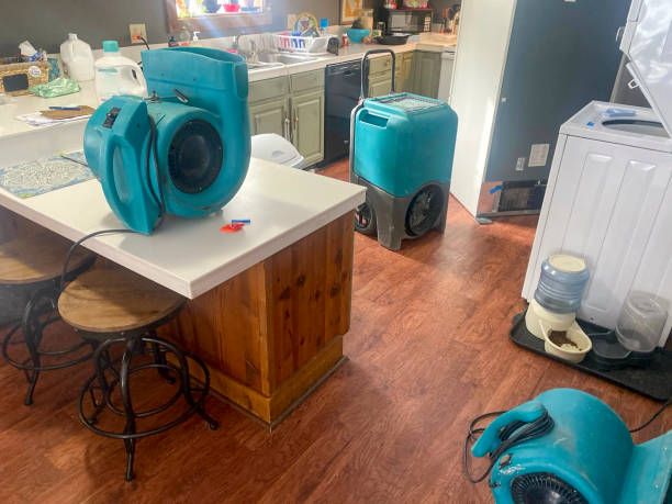 Trusted North Fair Oaks, CA Water damage restoration Experts