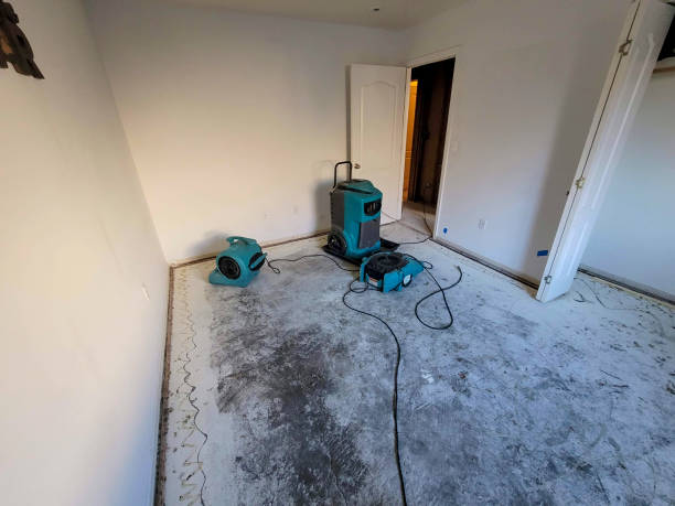 Best Fire Damage Restoration  in North Fair Oaks, CA