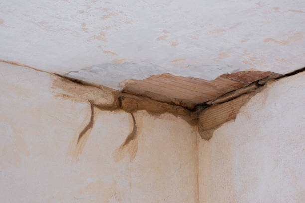 Best Water damage restoration near me  in North Fair Oaks, CA
