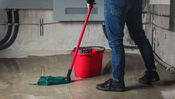 Water damage restoration mold remediation in North Fair Oaks, CA