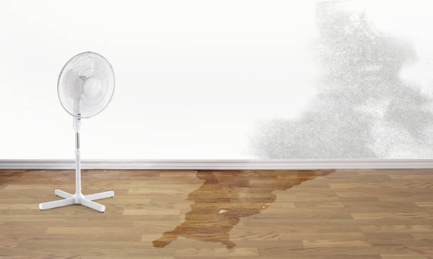 Best Water damage contractors near me  in North Fair Oaks, CA