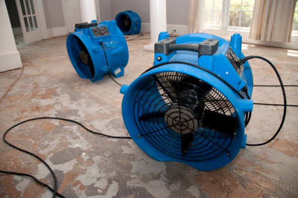 Best Water damage cleanup near me  in North Fair Oaks, CA