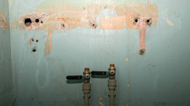 Best 24/7 water damage repair  in North Fair Oaks, CA