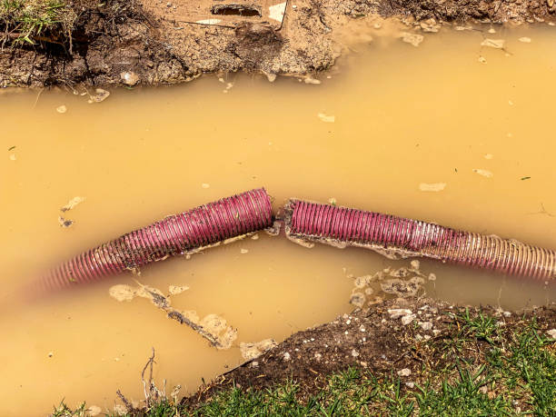 Best Residential water damage restoration  in North Fair Oaks, CA