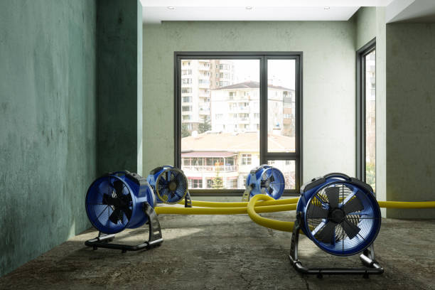 Best Water damage restoration near me  in North Fair Oaks, CA