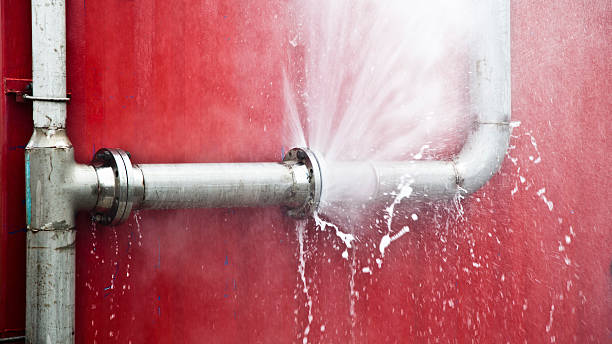 Best Flood damage cleanup  in North Fair Oaks, CA